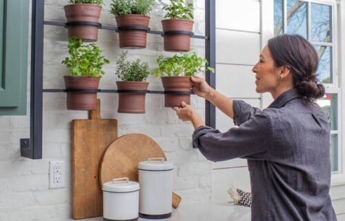 Kitchen Herb Garden Ideas for Fresh Herbs All Year